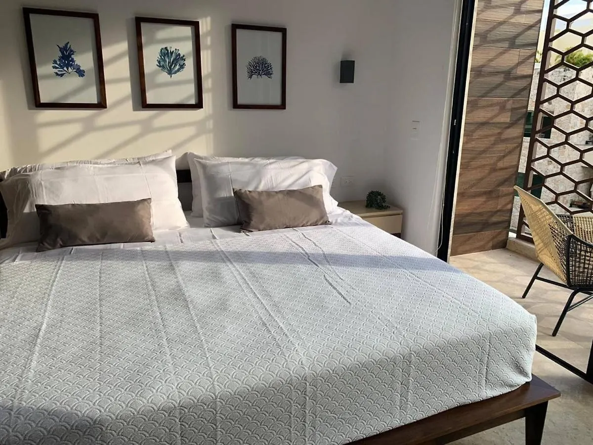 Luxurious Charming Studio-Terrace With Pool-Gym Playa del Carmen